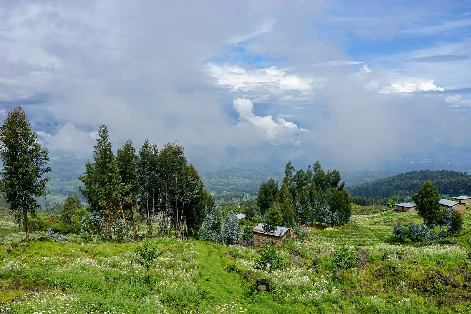 Farmland and volcanoes around Kinigi, Rwanda