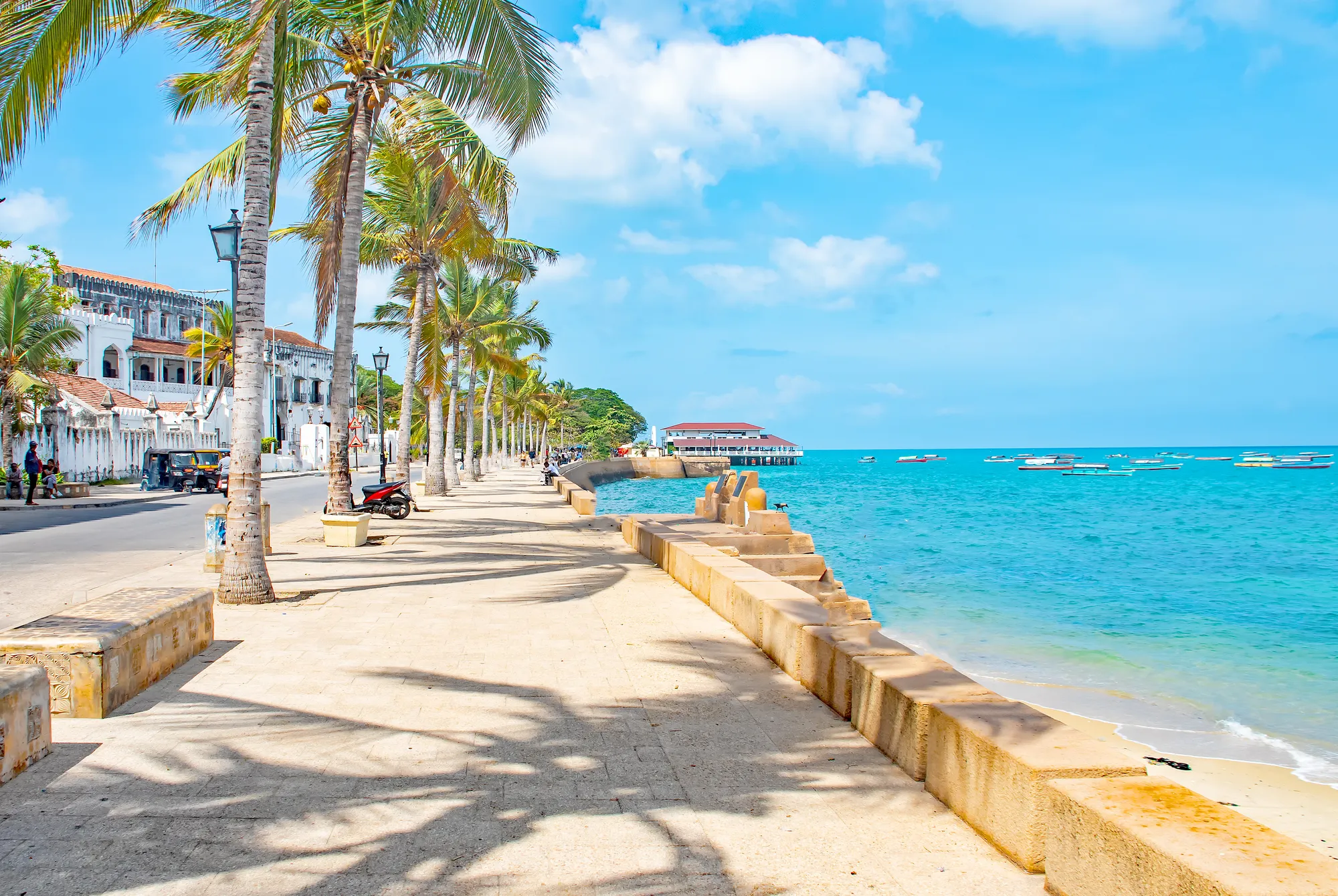 Palm-lined waterfront promenade beside the Indian Ocean in Zanzibar